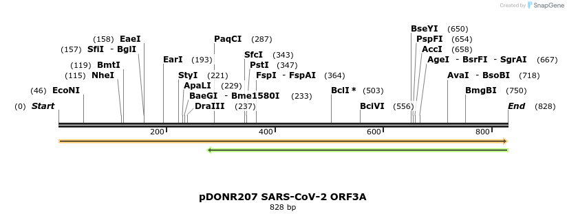 275552_map