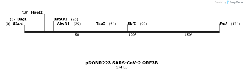 275553_map