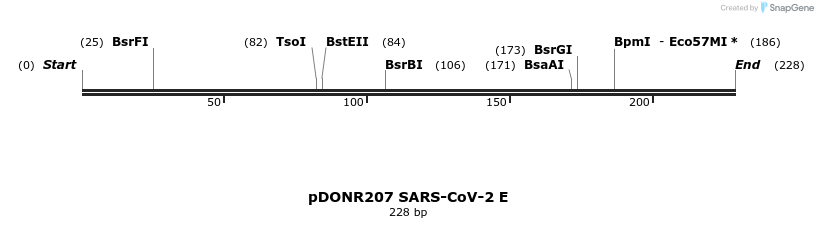 275554_map