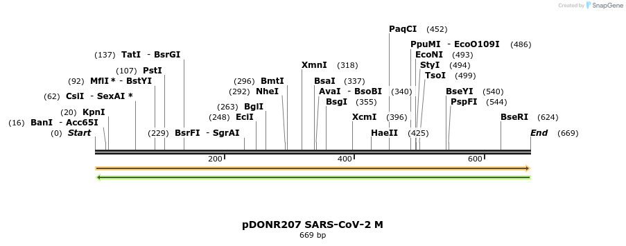 275555_map