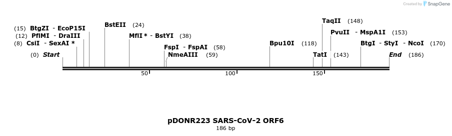 275556_map