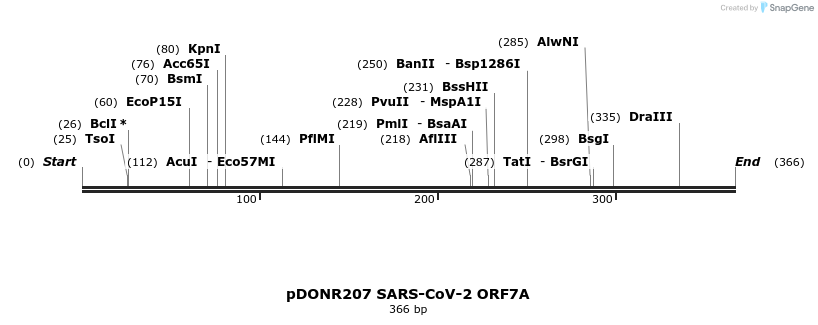 275557_map