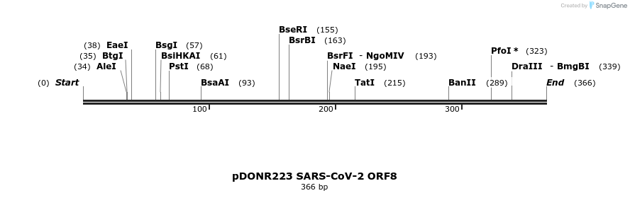 275559_map