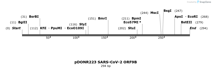 275561_map