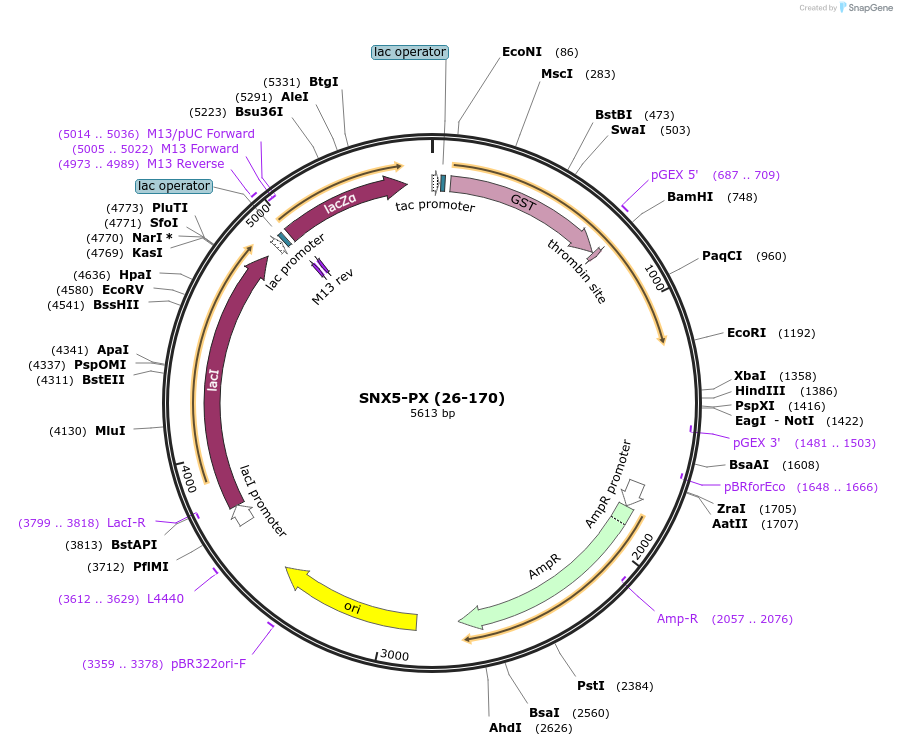 275614_map