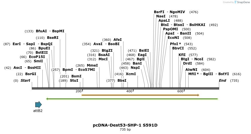 27563_map
