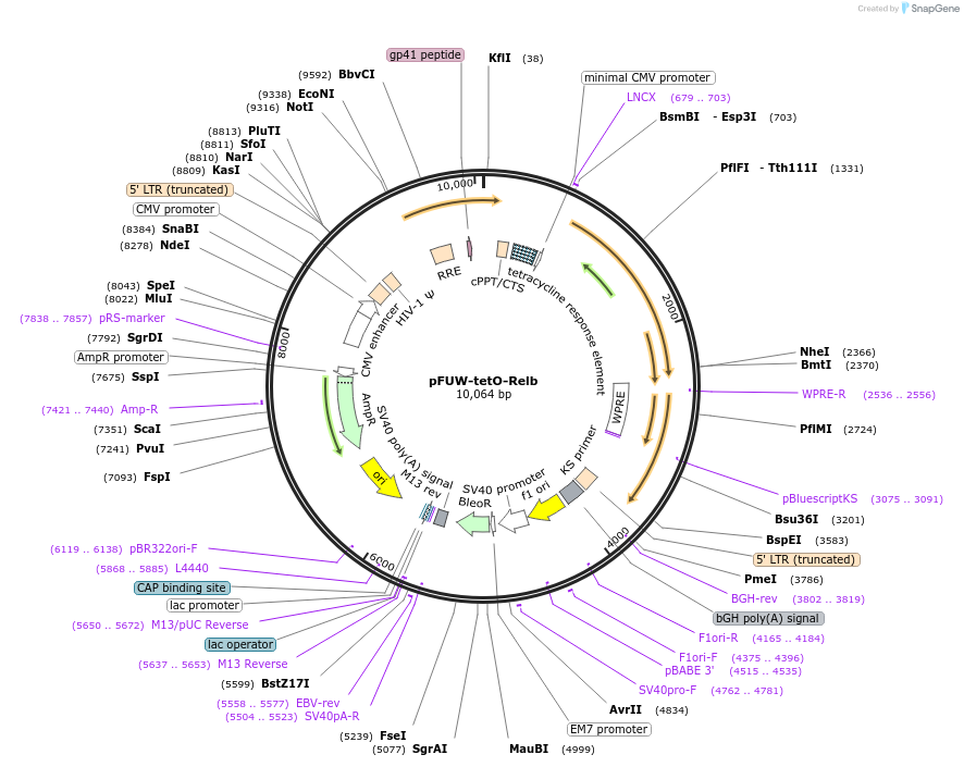 275652_map