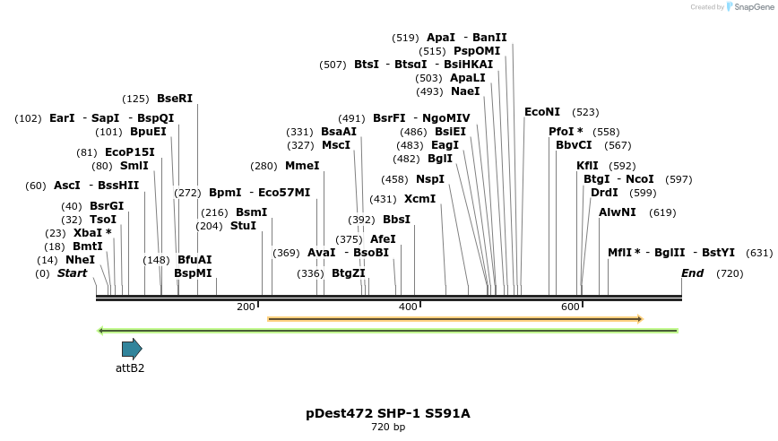 27566_map