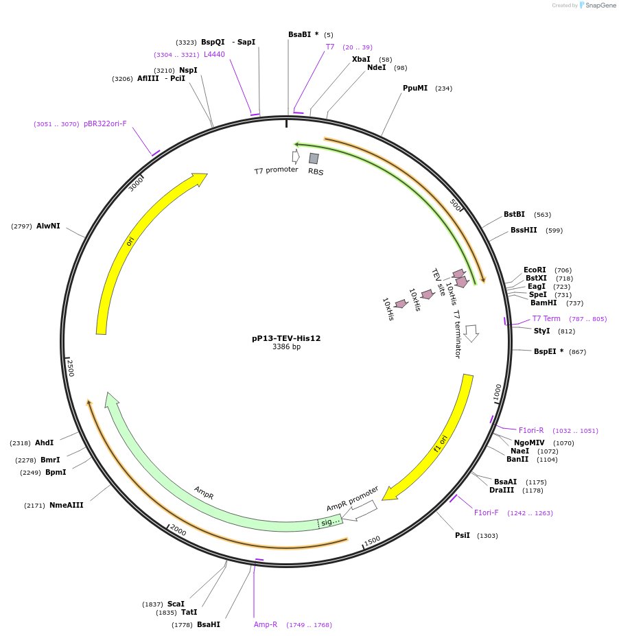 275690_map