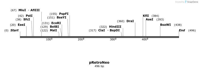 27571_map