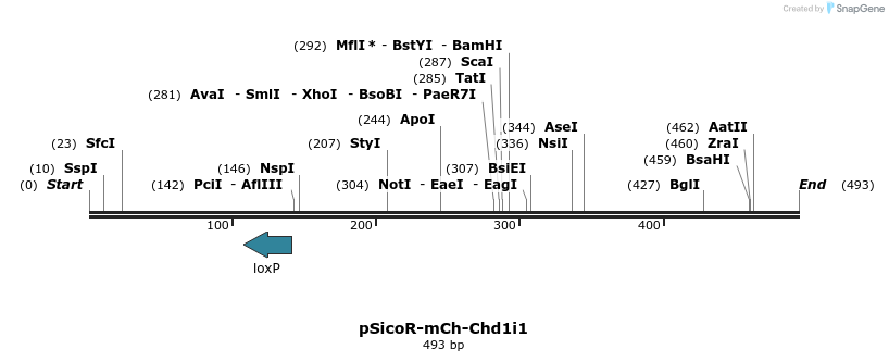 27572_map