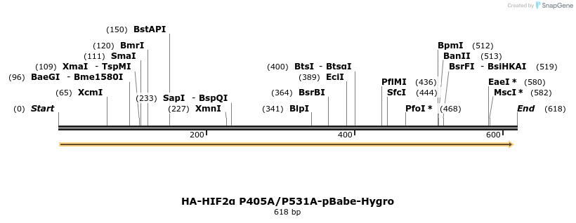 27575_map