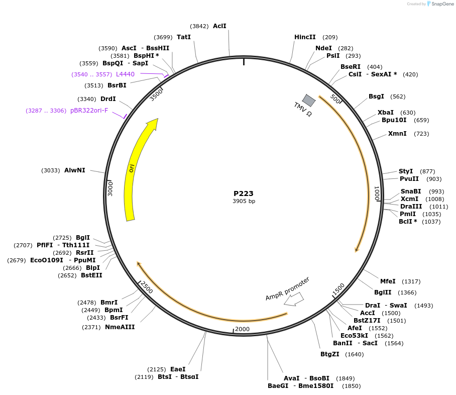 275762_map