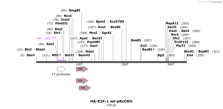 27578_map
