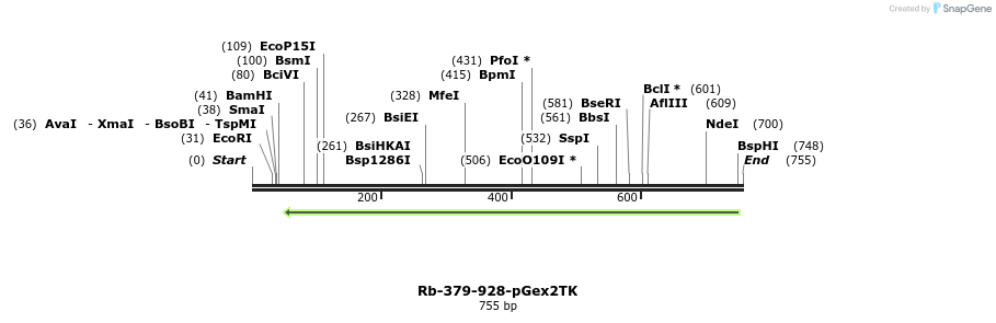 27581_map