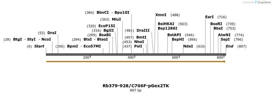 27582_map