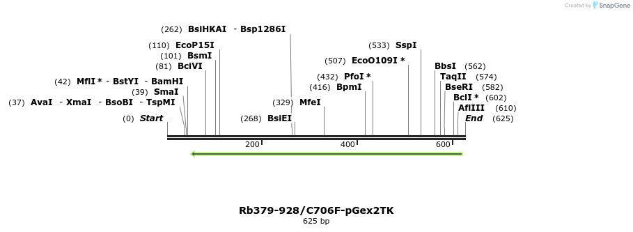 27584_map