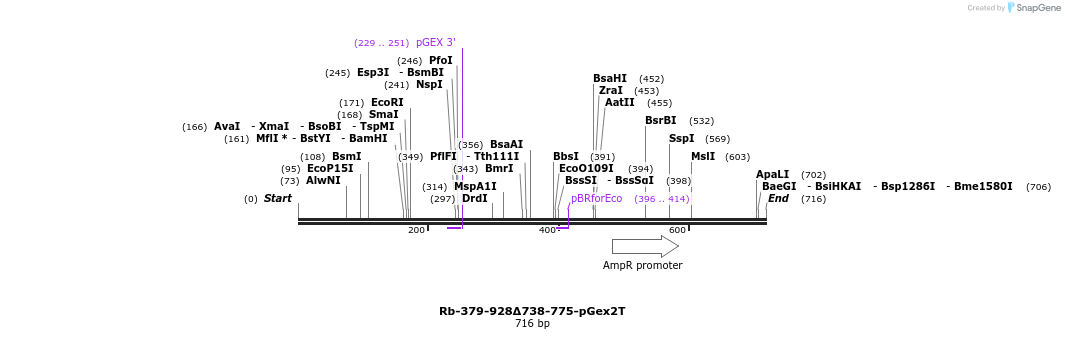 27586_map
