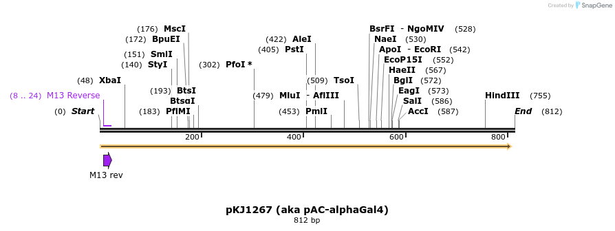 27593_map