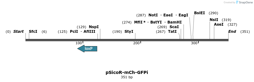 27595_map