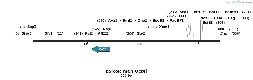 27597_map