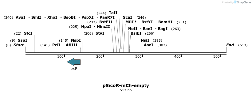 27599_map