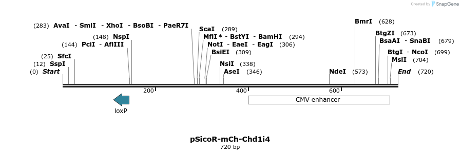 27601_map