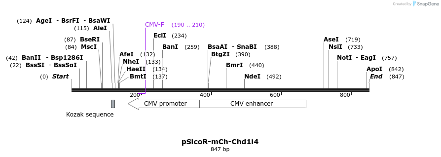 27602_map
