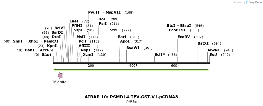 27605_map