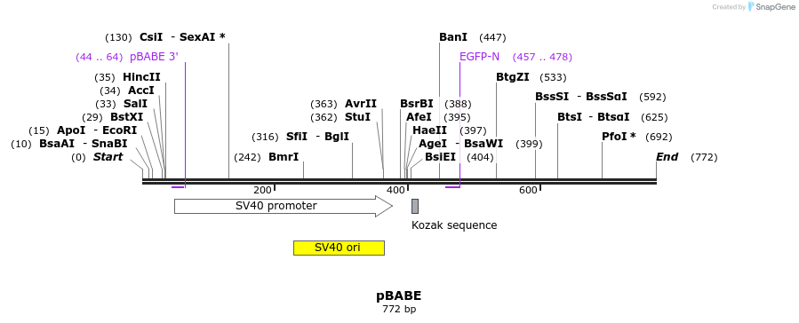 27611_map