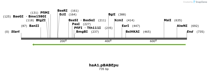 27612_map