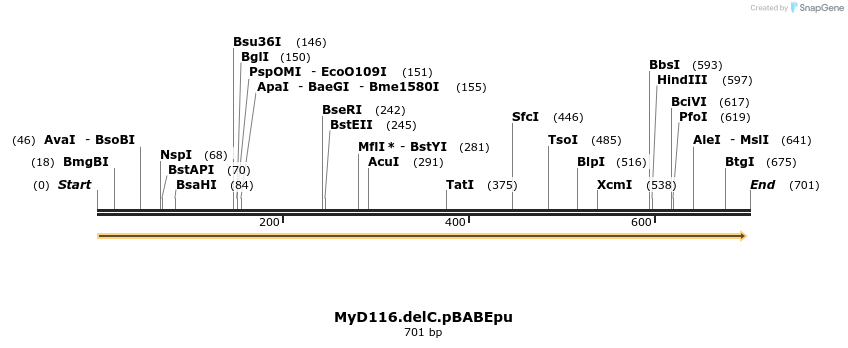 27614_map