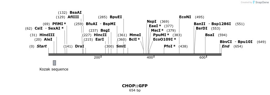 27615_map