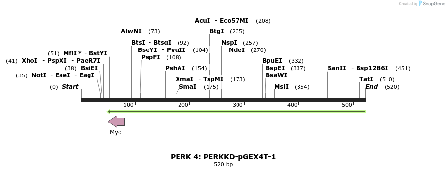 27622_map