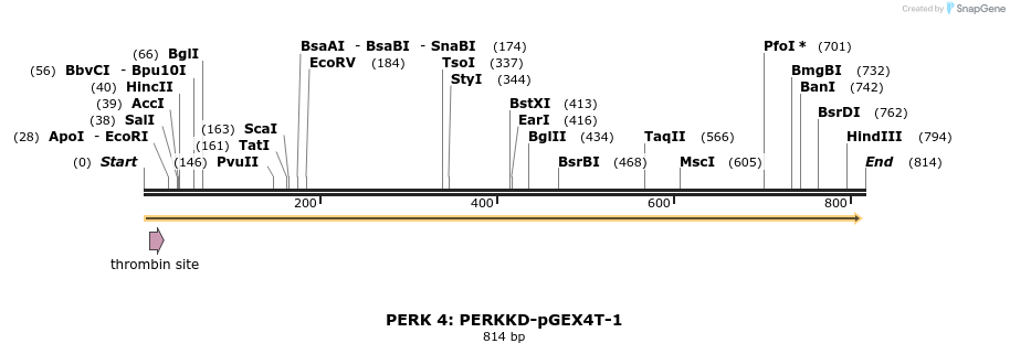 27623_map