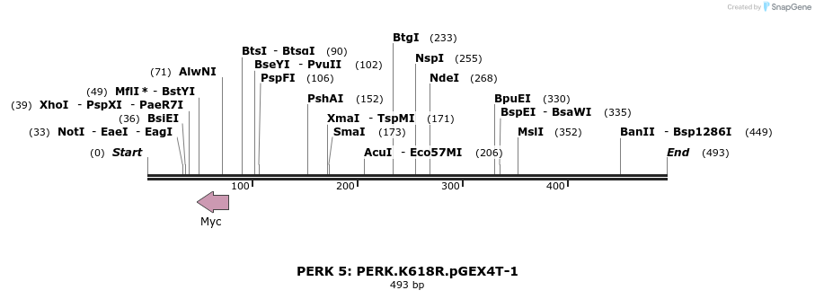 27624_map