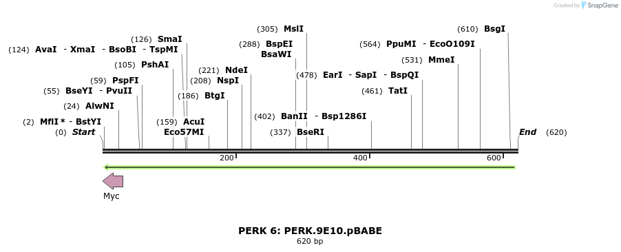 27626_map