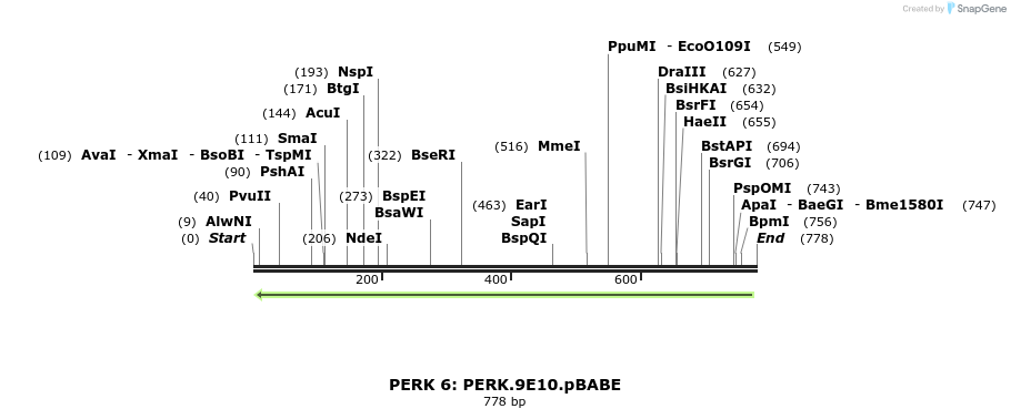 27628_map