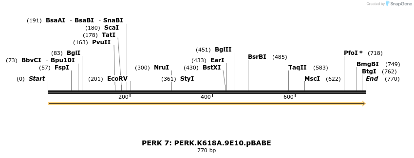 27629_map
