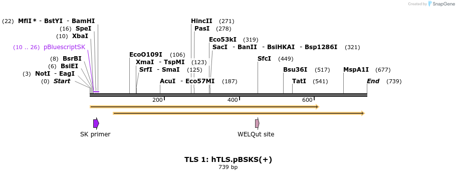 27637_map