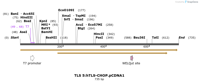 27641_map
