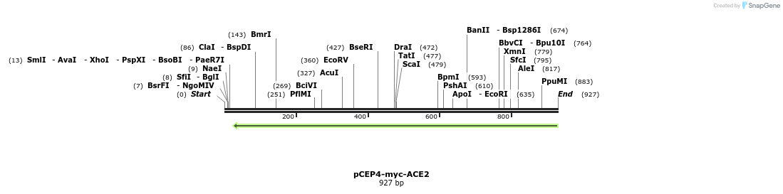 276431_map