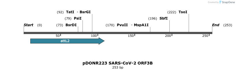 276432_map