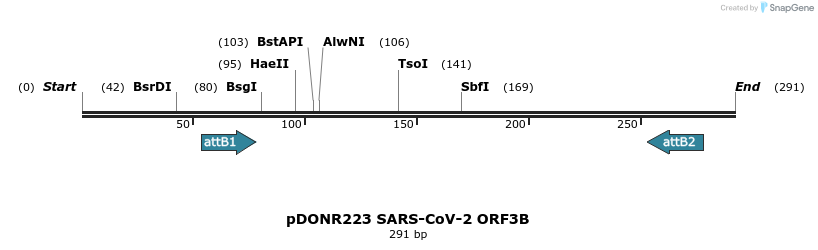 276433_map