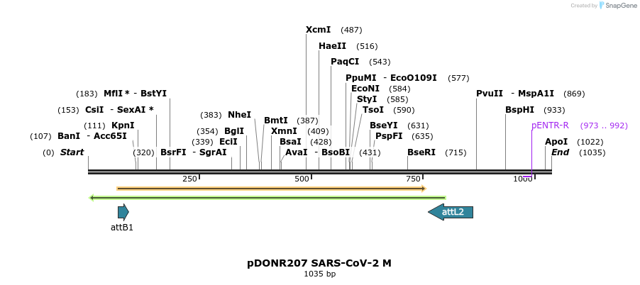 276436_map