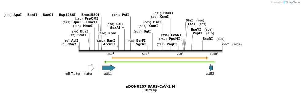 276437_map