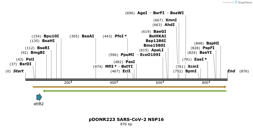 276439_map