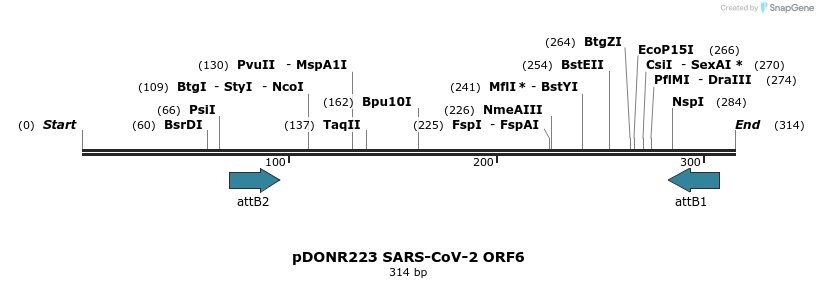 276441_map