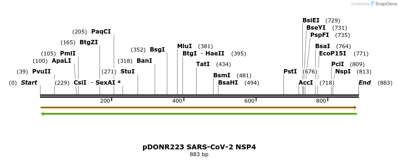 276446_map