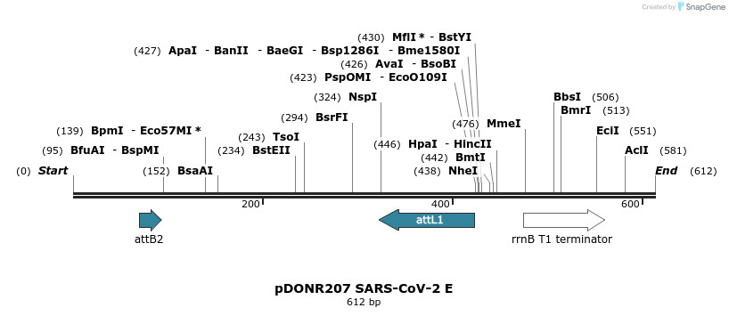 276451_map
